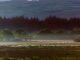 Red deer and wildlife spotting on Jura