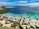 Seal colonies and their habitats