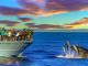 Whale and dolphin watching tours