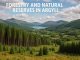 Forestry and natural reserves in Argyll
