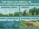 The role of Argyll in Scotland’s environmental efforts